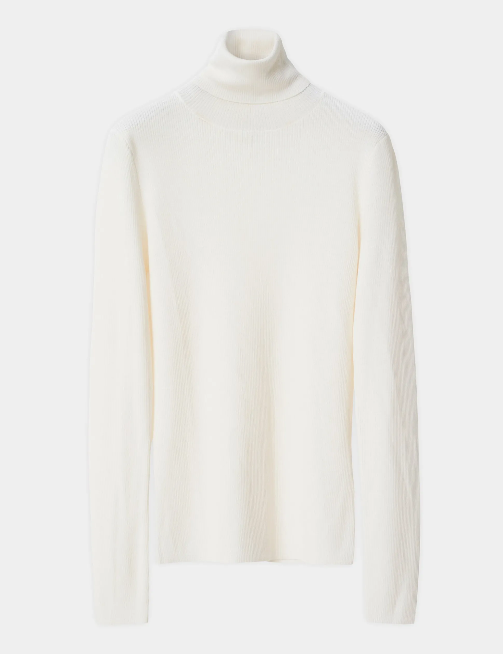 Sierra - Daily Elements - Ivory Shade
